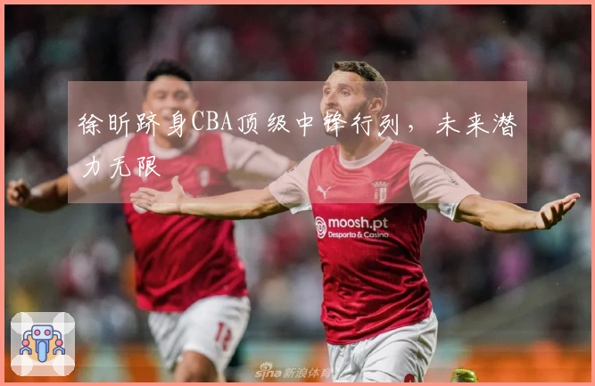 徐昕跻身CBA顶级中锋行列，未来潜力无限