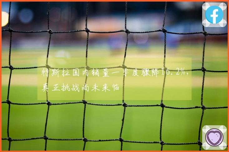 特斯拉国内销量一季度骤降16.2%，真正挑战尚未来临