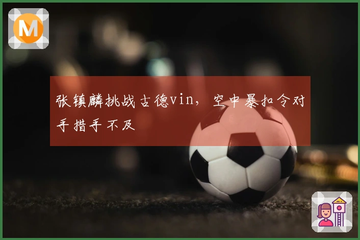 张镇麟挑战古德vin，空中暴扣令对手措手不及