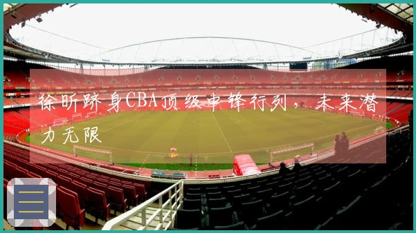 徐昕跻身CBA顶级中锋行列，未来潜力无限