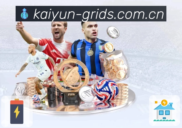 开云APP 高清赛事图